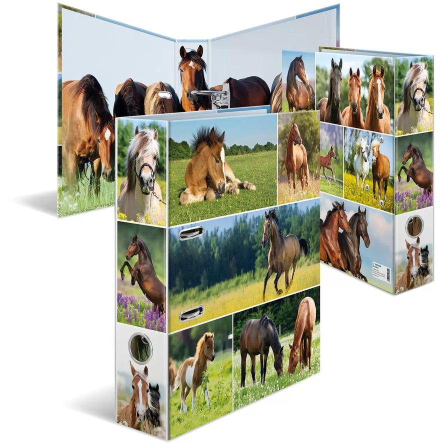 HERMA Ordner A4 Pferdewiese (19251)