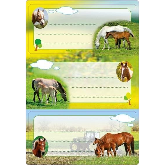 Herma: lovas füzet címke (4008705055680)