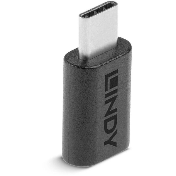 Lindy 41893 kabel kønsskifter USB 3.2 Type C Sort