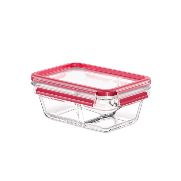 EMSA CLIP & CLOSE N10407 Rettangolare Scatola 0,8 L Trasparente 1 pz