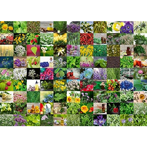 Ravensburger 1000 Darabos Puzzle - 99 Gyógy- és Fűszernövény