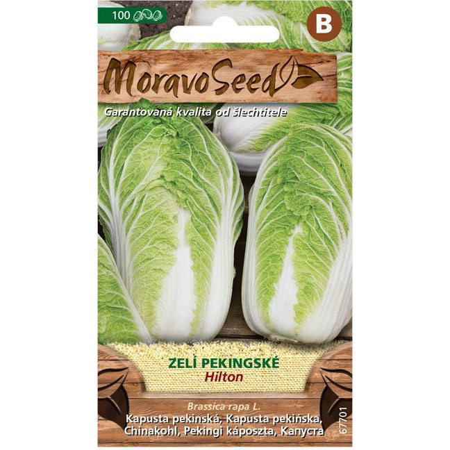 Kínai kel HILTON (4181mm)