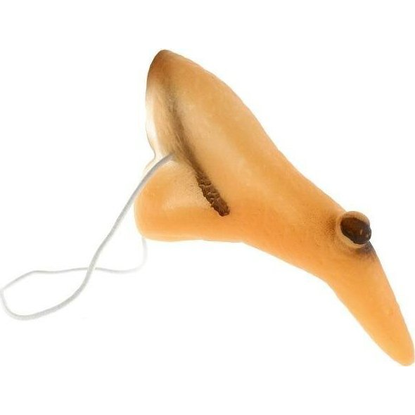 Boszorkányorr (503711)