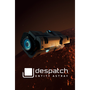 despatch: Entity Astray