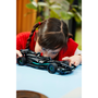 LEGO® Technic: 42165 - Mercedes-AMG F1 W14 E Performance Pull-Back