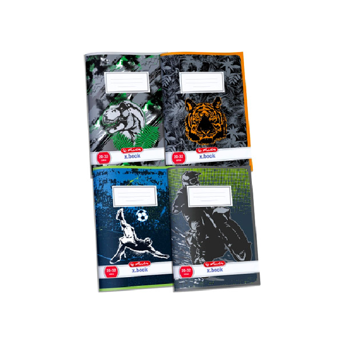 Herlitz Boys 32 lapos A5 1. osztályos vonalas füzet - Többféle (9540972)