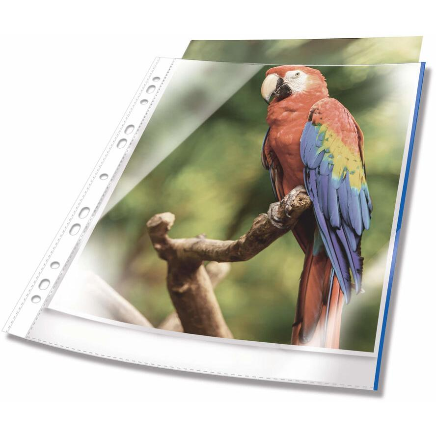 DURABLE Prospekthüllen A4 oben offen 10 Stück glasklar, blau (265406) (265406)