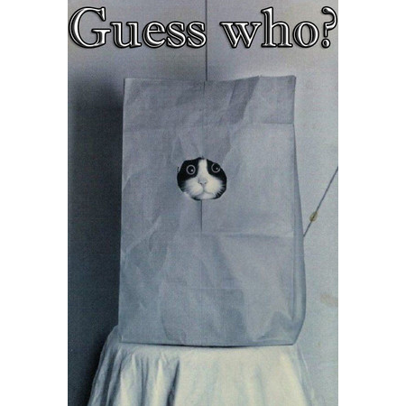Guess who ?