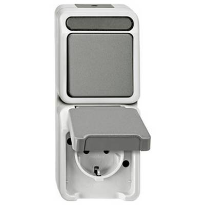 MERTEN MEG3495-8029 Kombination Schuko-Wechselschalter
