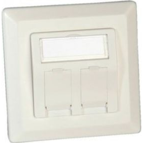 ROLINE Čelo zásuvky pro 2x modul Keystone, 45° (neosazené)