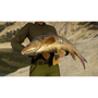 Call of the Wild: The Angler – Spain Reserve
