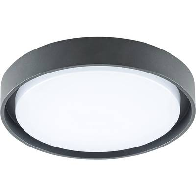 EVN DAR54141502 EVN Lichttechnik LED-es mennyezeti lámpa 14 W Antracit (DAR54141502)