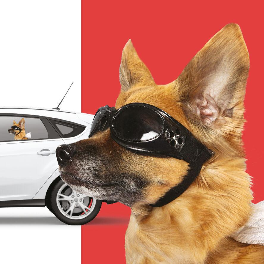 Thumbs up! Napszemüveges kutya mintás Autós Ablak matrica (1001725)