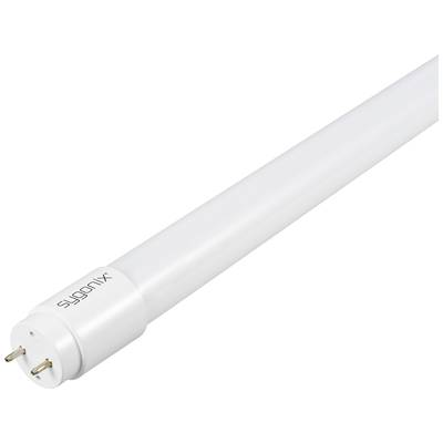 Sygonix LED csövek EEK: E (A - G) G13 T8 17.5 W Hidegfehér (O x H) 28 mm x 1500 mm Nem dimmelhető 10 db (SY-5972870) (SY-5972870)