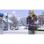 The Sims 3: Seasons