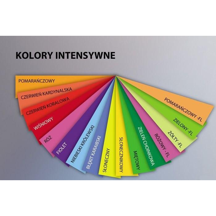 Másolópapír Színes Clairefontaine Trophée A/4 80 g Neonzöld 500 Ív/Csomag 2975 (pp 1640020)