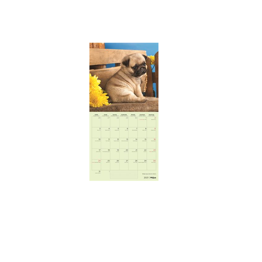 Toptimer 290 x 580 mm Falinaptár - Dogs (21T9800-006)