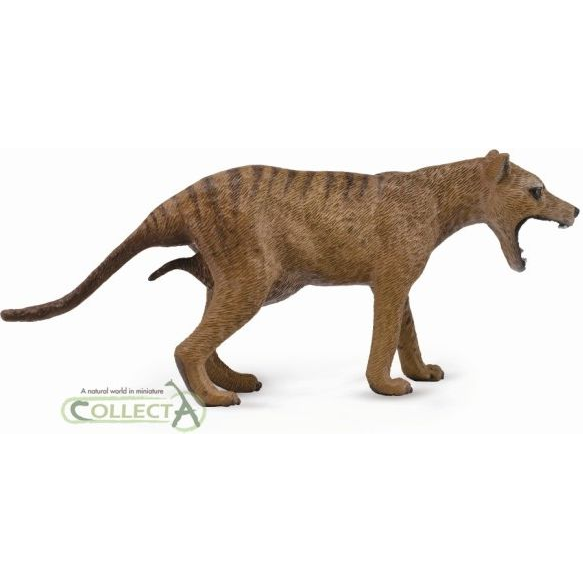 Thylacine Tigre De Tasmania Hembra - L 90188767 Collecta