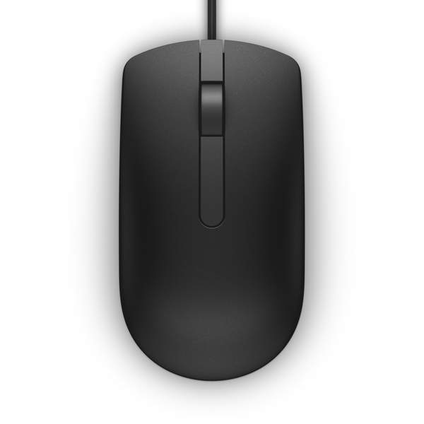 DELL MS116 souris Bureau Ambidextre USB Type-A Optique 1000 DPI