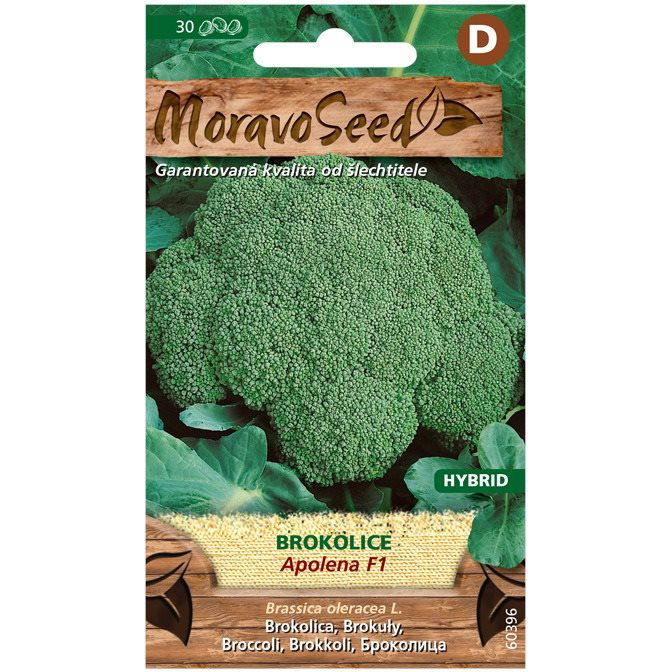 Brokkoli APOLENA F1 - hibrid (0130mm)