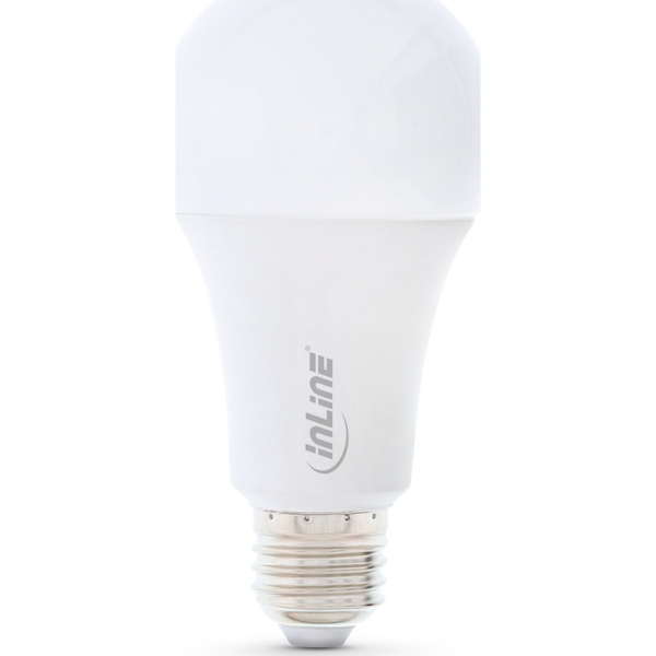 InLine 40159B Lampadina a risparmio energetico Blu, Verde, Rosso 10 W