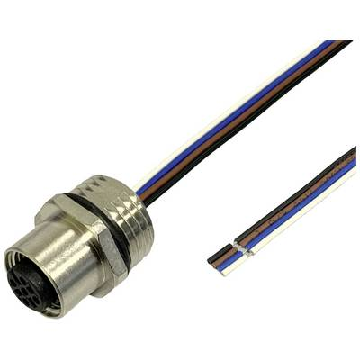 BKL Electronic 2703006 Érzékelő/működtető beépíthető hüvely M12 0.5 m Pólusszám: 3 1 db (2703006)