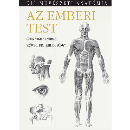 Az emberi test - Kis művészeti anatómia