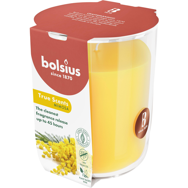 BOLSIUS Mimosa 45 óra