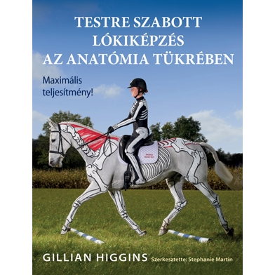 Testre szabott lókiképzés az anatómia tükrében (BK24-210248)