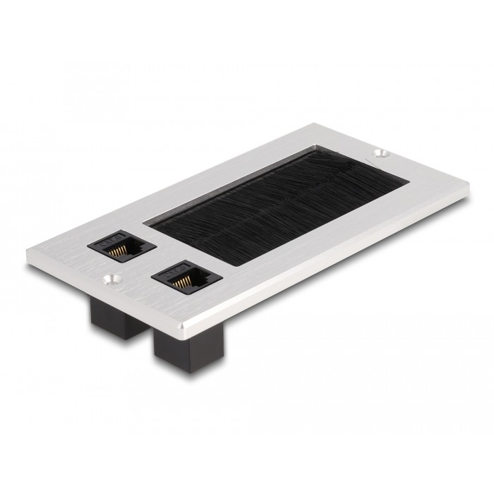 Delock Kábel bemenet kefével és 2 db. RJ45 Keystone modul Cat.6 alumínium (66896) (66896)
