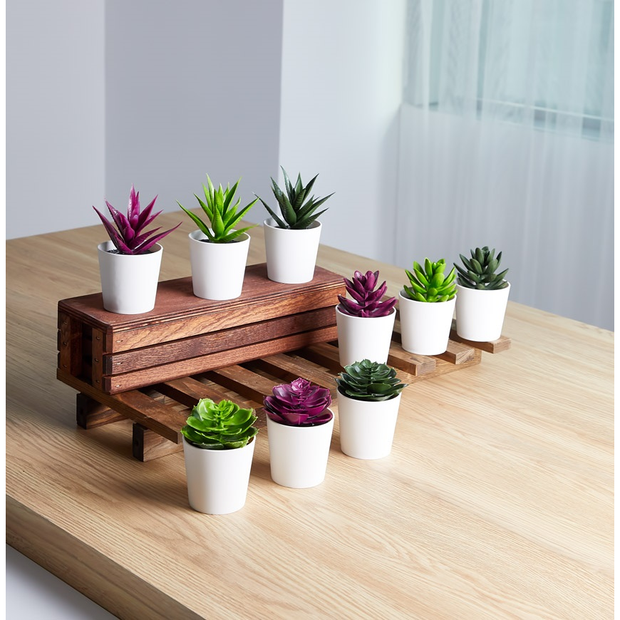 Iris E5675 Cserepes művirág Asztali Dekoráció 6x9cm - Többféle (E5675)