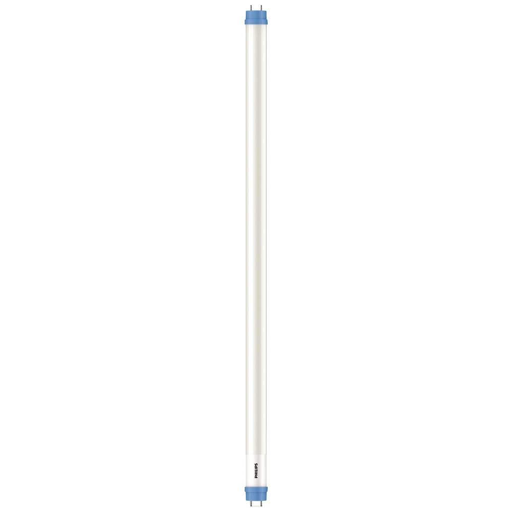 Philips G13 8W T8 LED fénycső hideg fehér (8720169204881) (8720169204881)