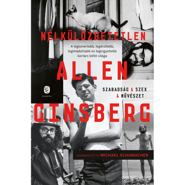 Nélkülözhetetlen Allen Ginsberg