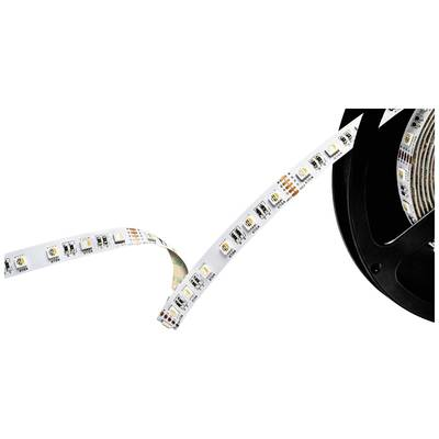 Barthelme (51542434) LED csík 24 V 5000 mm RGBW 5 m (51542434)