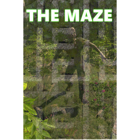 The Maze (PC - Steam elektronikus játék licensz)
