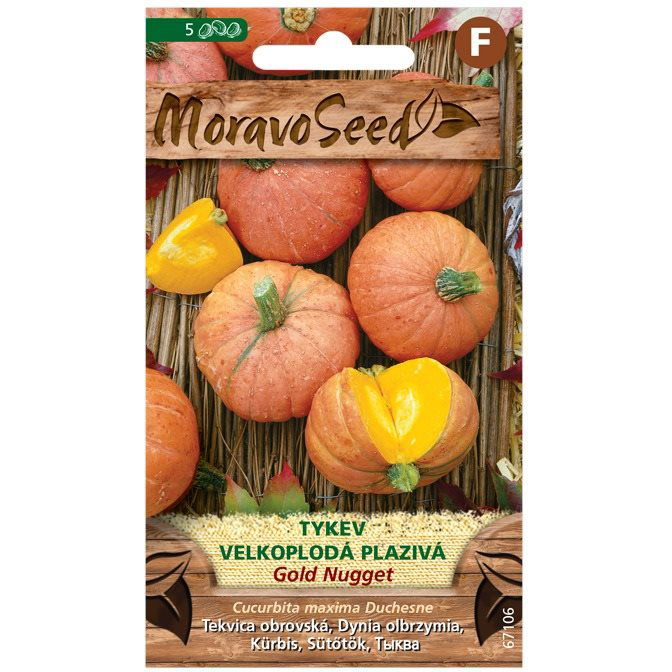 MORAVOSEED Kűszó tök ARANY NUGGET (3899mm)