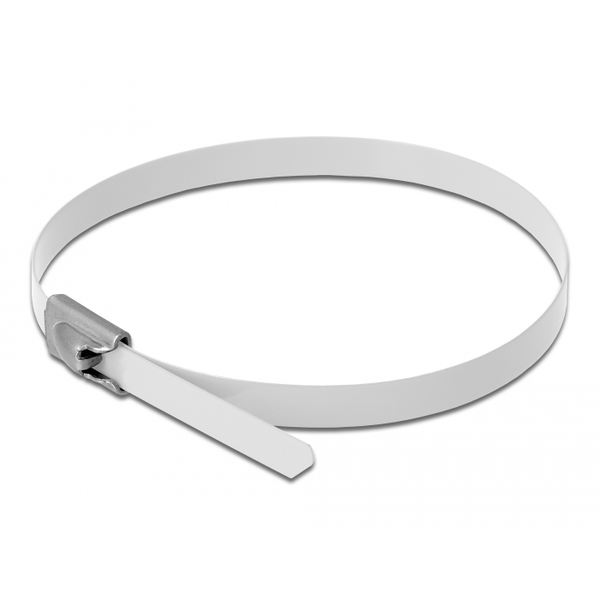 DELOCK Edelstahlkabelbinder L 200 x B 4,6 mm weiß 10 Stück