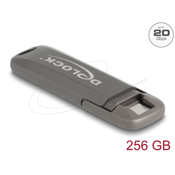 Pen Drive 256GB Delock USB-C ezüst (54012)