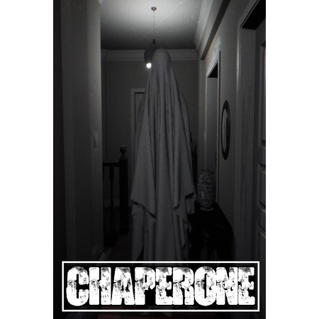 Chaperone (PC - Steam elektronikus játék licensz)
