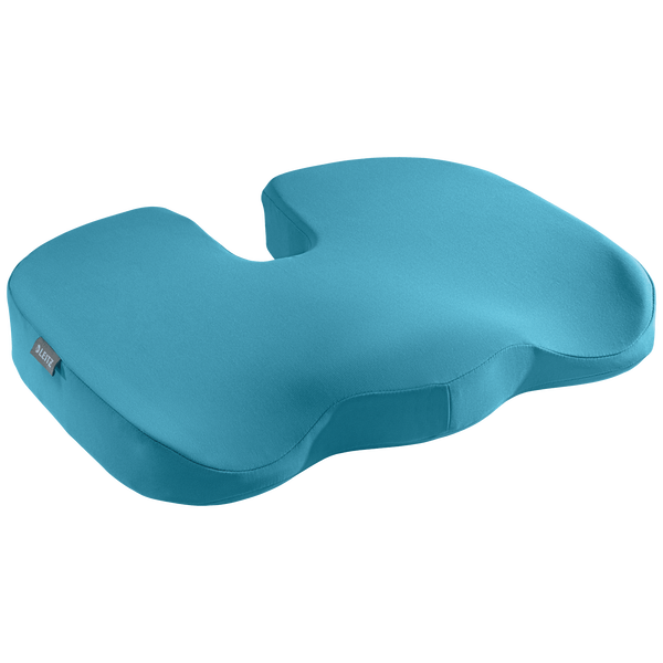 Leitz Ergo Cosy Blu Cuscino da seduta