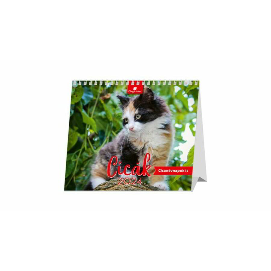 Dayliner Cicák 320 x 150mm 2024 Asztali naptár - Mintás (DL4AS-CIFAL-HH)