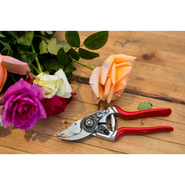 Secateurs FELCO 14