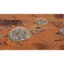 Surviving Mars: First Colony Edition