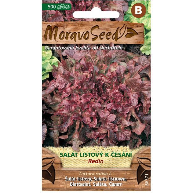Tölgylevelű saláta REDIN, vörös (3576mm)