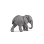 Elefante Africano Joven