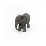 Elefante Africano Joven
