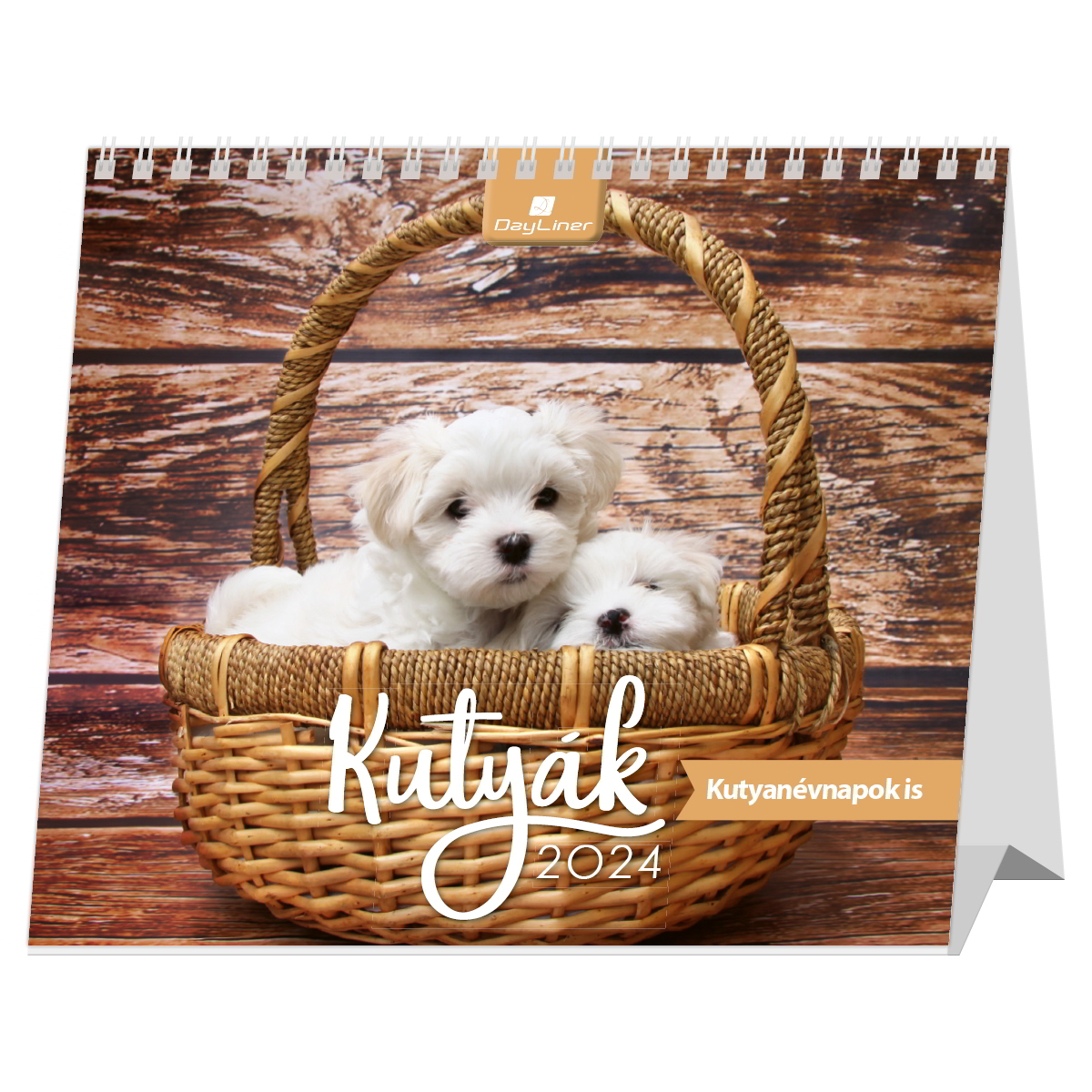 Dayliner Kutyák 320 x 150mm 2024 Asztali naptár - Mintás (DL4AS-KUFAL-HH)