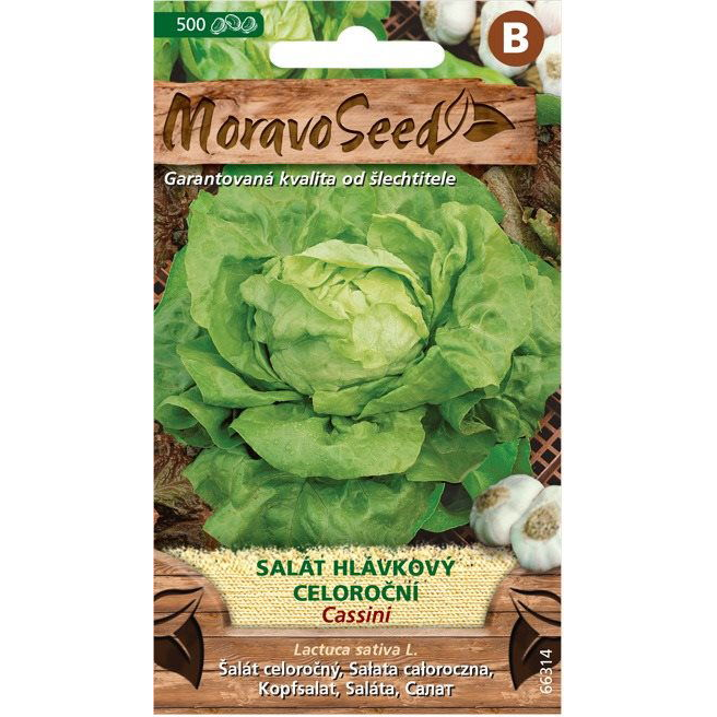 MORAVOSEED Egész éves fejes saláta CASSINI (3481mm)