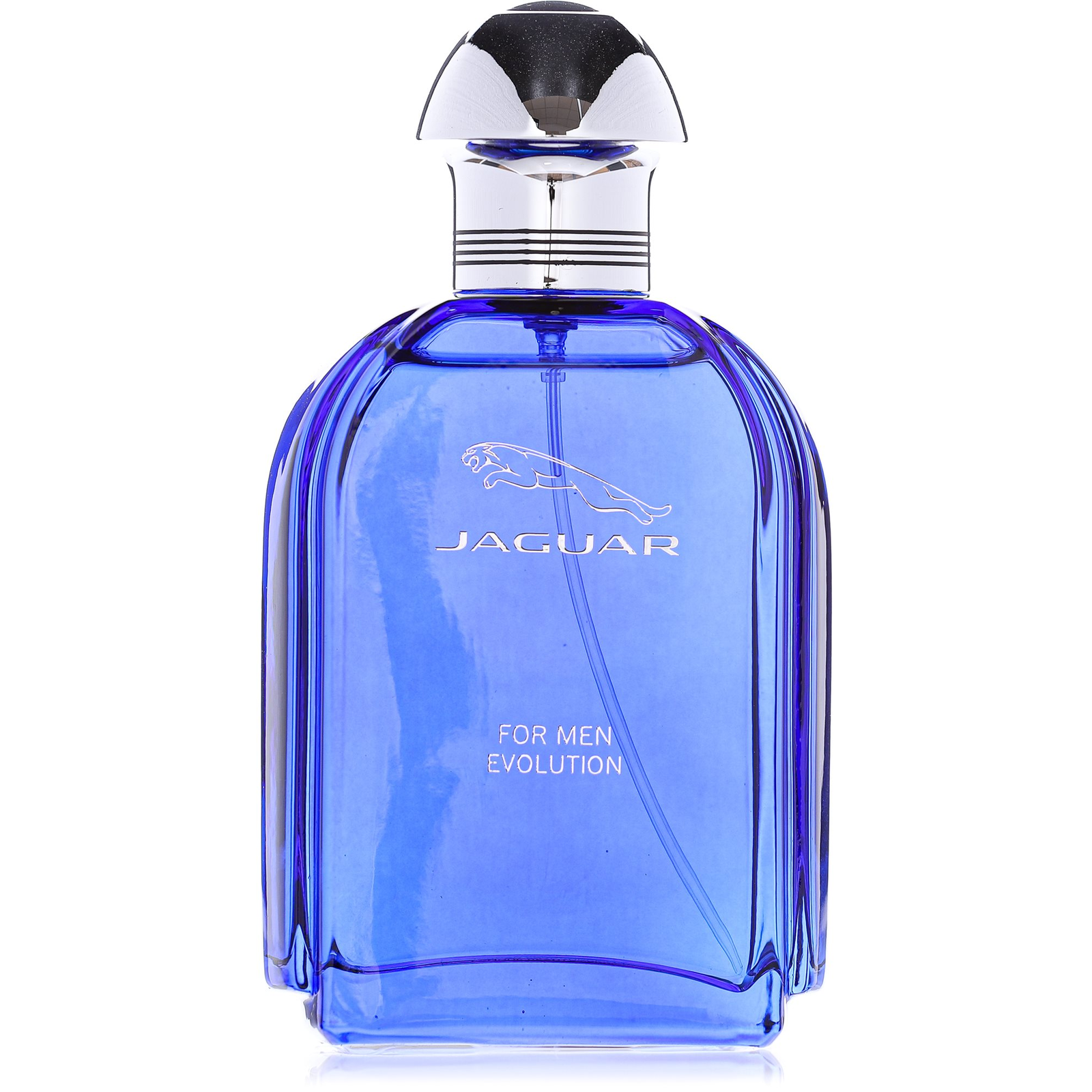 JAGUAR For Men Evolution EdT 100 ml (7640111505280)
