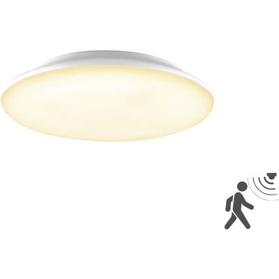 EVN L30180125BM EVN Lichttechnik LED-es mennyezeti lámpa 18 W Fehér (L30180125BM)